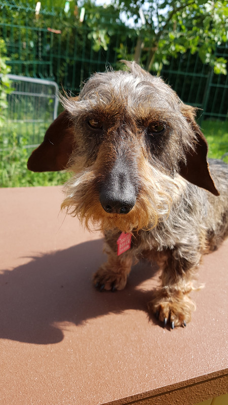 [Image: 20180528-161346.jpg]