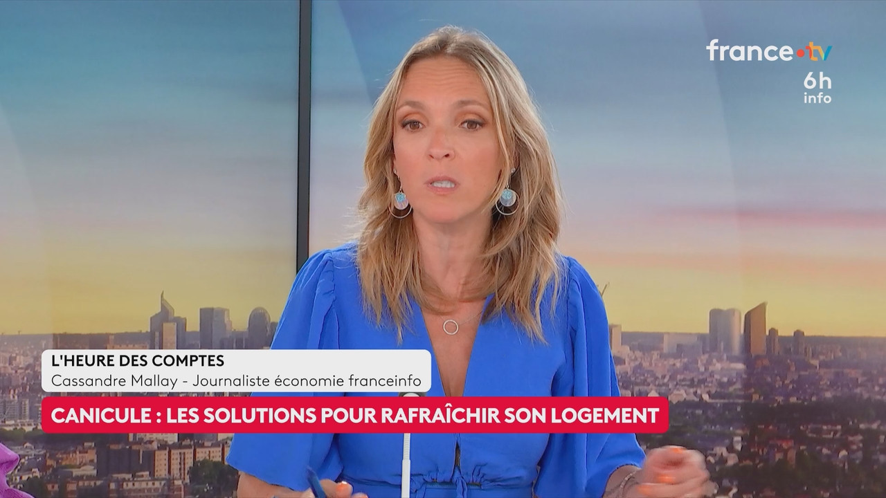 Le 6h info (France 2) 2026 06 20 04 55 67 ts snapshot 23 59 736
