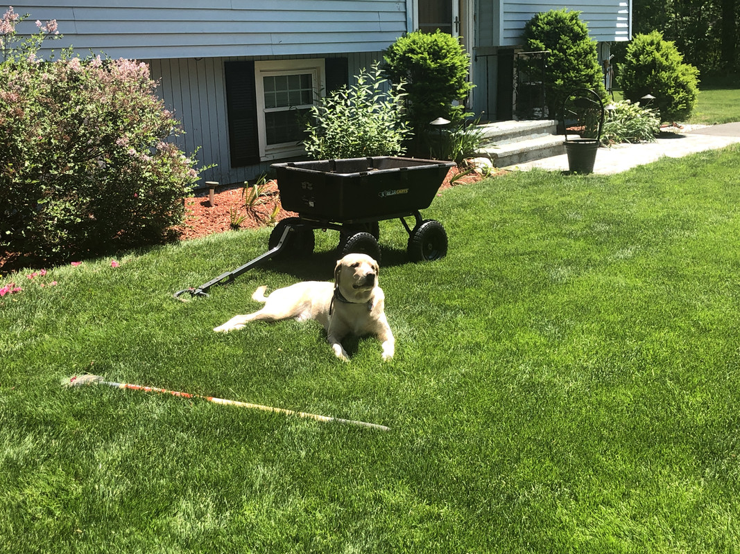 5CA3E3D8-68D7-41FE-8479-5C47D90CB5B9