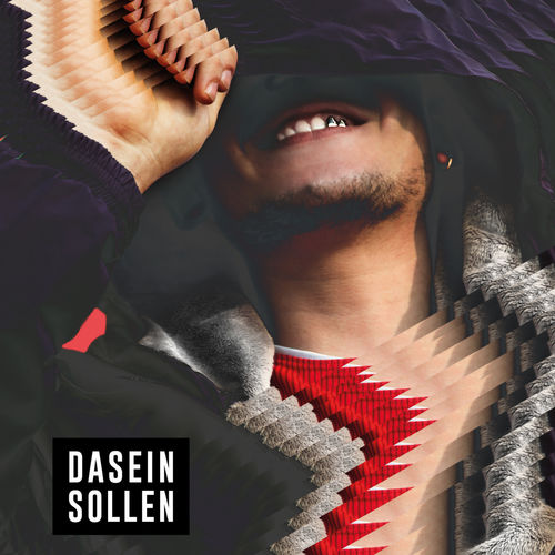 Rkomi - Dasein Sollen [Album] (Universal Music B.V., 2017) FLAC