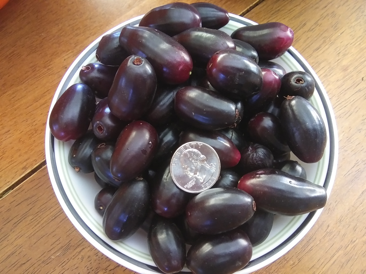 java plum fruit2 (1)