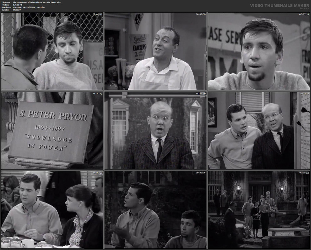 The Many Loves of Dobie Gillis S03E05 The Gigolo.mkv