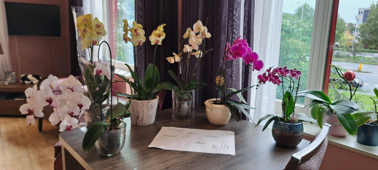 [Image: 20231013-122605.jpg]