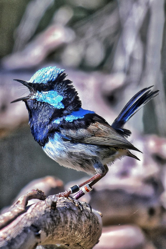 FB IMG 1767511718996