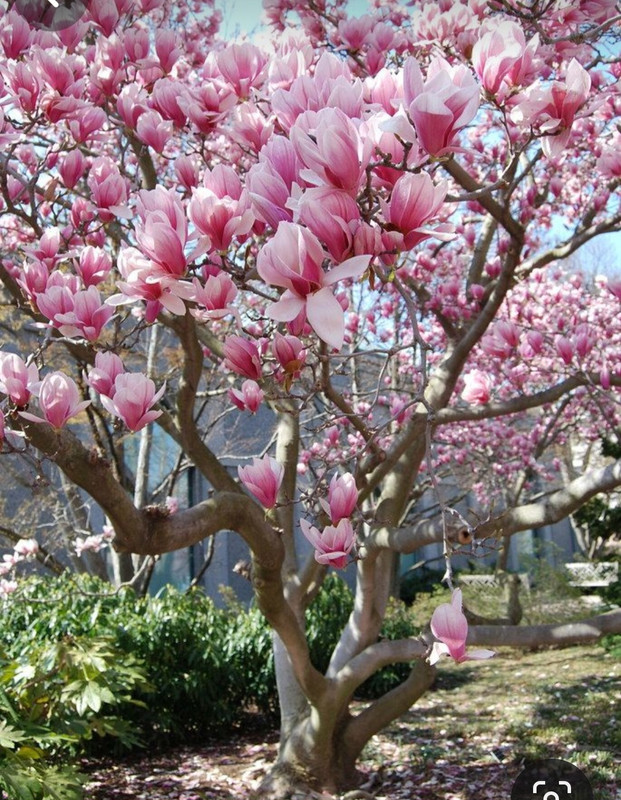 Screenshot_20240324_213811_Pinterest