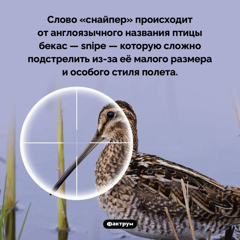 [Изображение: 0b94b47b6f9b20a409dc1ee63da10d92.jpg]