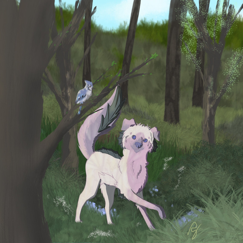 6037F367-ED9D-4C05-AFD2-D7AA44CE3AD2