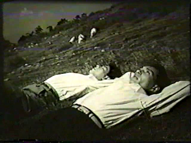 vlcsnap-2014-07-08-11h42m16s118