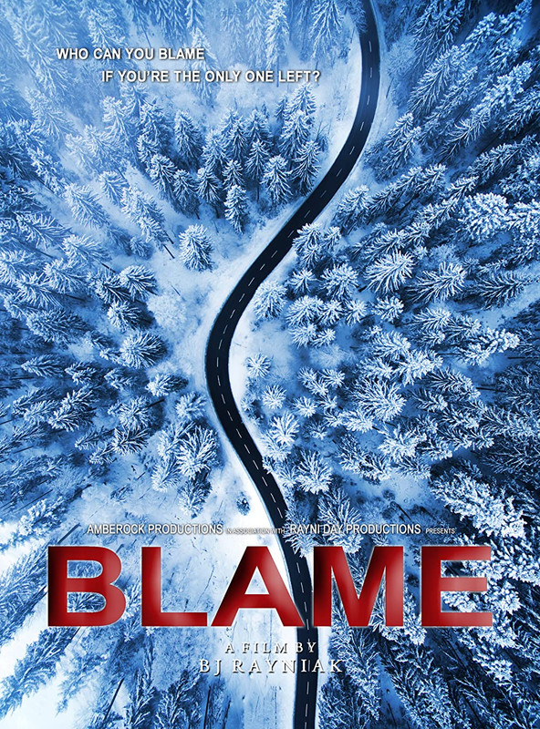 Blame 2021 1080p AMZN WEBRip DD2 0 X 264 EVO