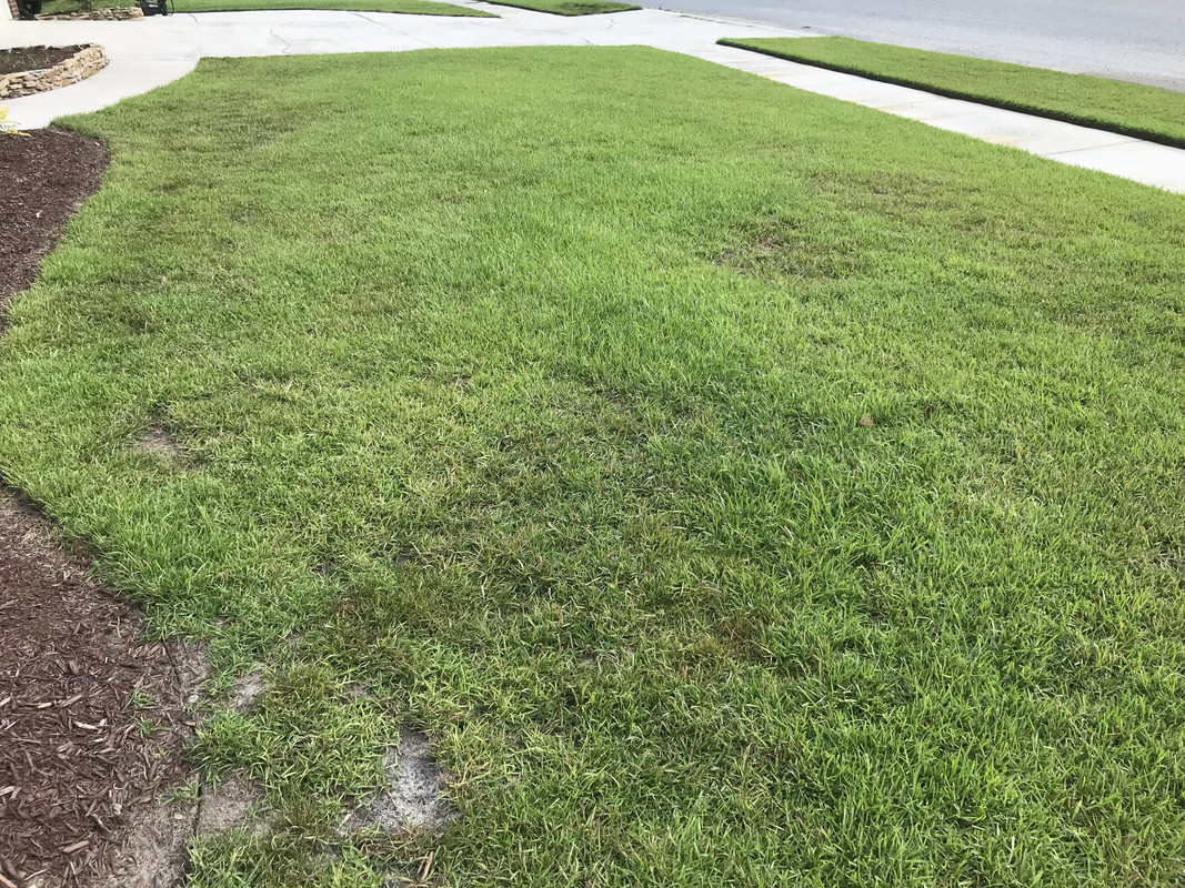 FC62E203-FFA7-40F5-8F19-301C976886A6