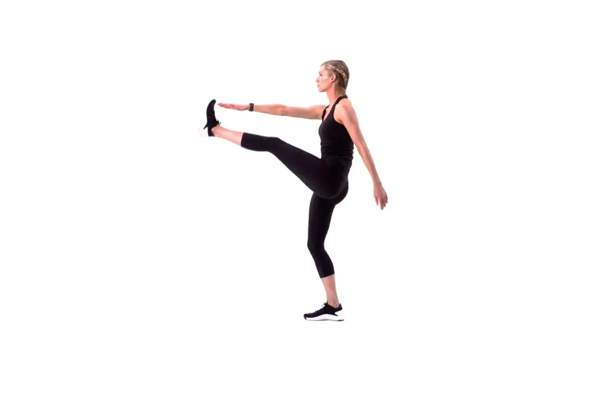 Stepper Exercise For Weight Loss