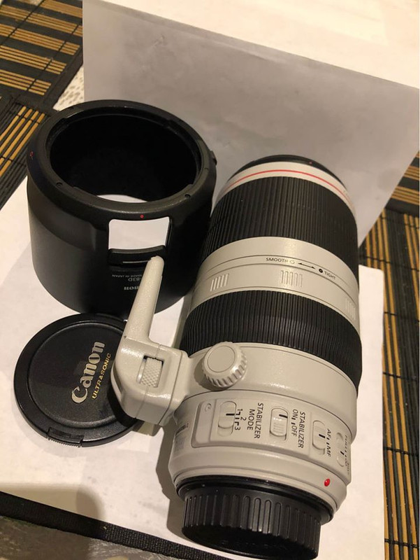 IMAGE: https://i.postimg.cc/tgNP8cBb/106796219-851513968716007-1427307981865824860-o.jpg