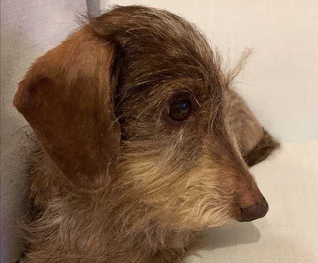 [Image: IMG-0489.jpg]