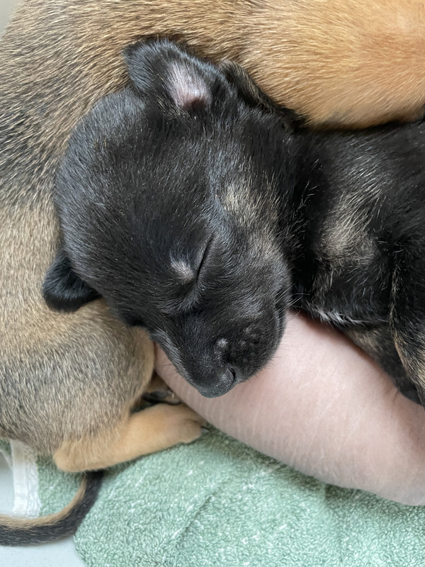 53E9FA3F-D064-4898-A230-2C3EB4B5CF8C_1_201_a