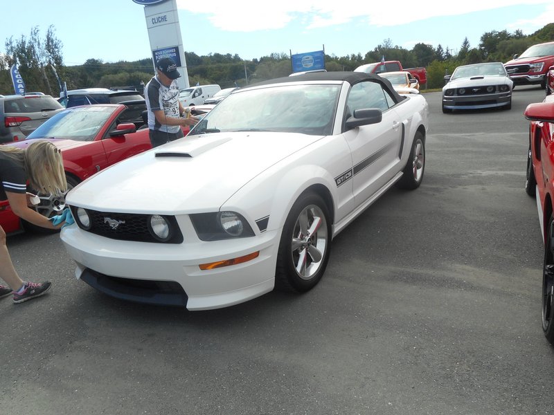 Rendez-Vous Mustang Cliche Auto Ford - 14 août 2022 Cliche2022-47