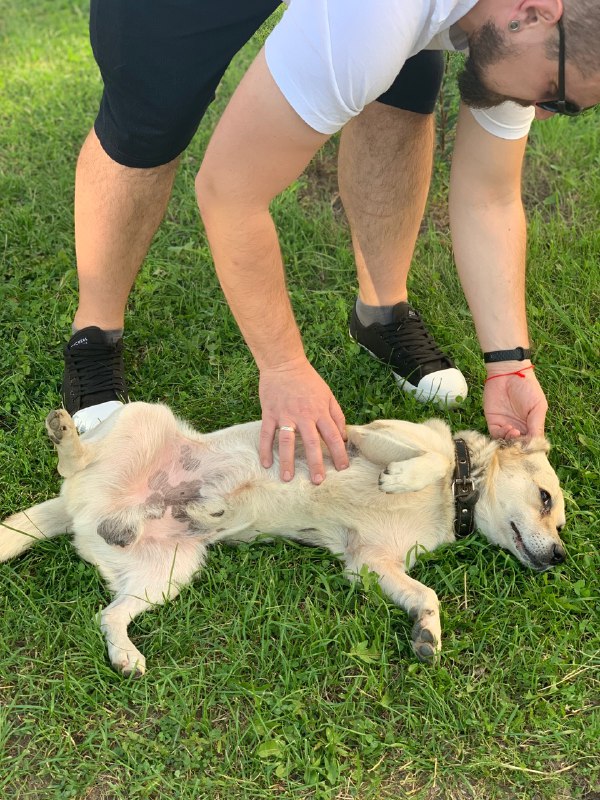 0646ab4b-ffac-422b-84c2-67792ac956bf