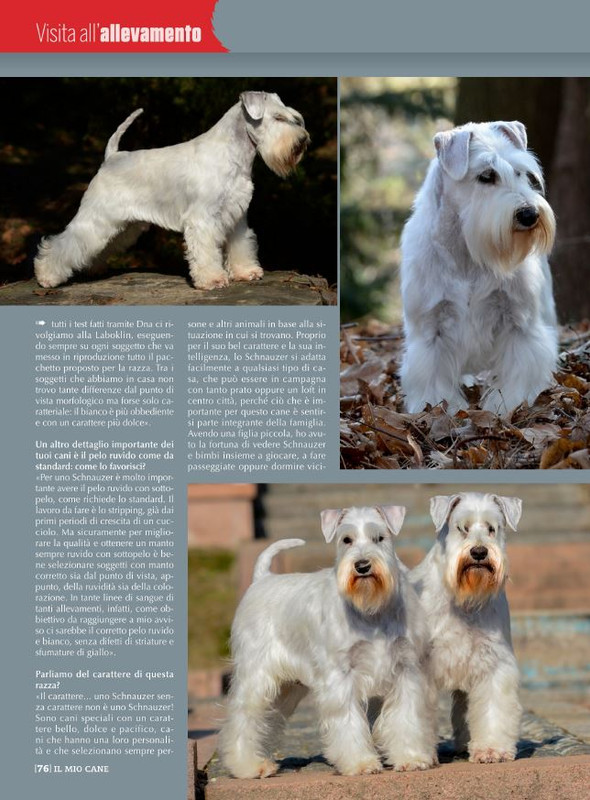 Il M C Ott 2022 (12)