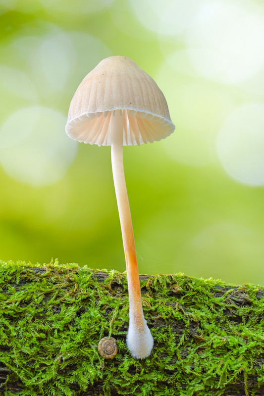 2025-10-12 11-39-54 (A,R5,S3)-2