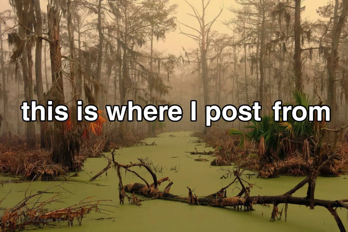 This Is Where I Post From 012