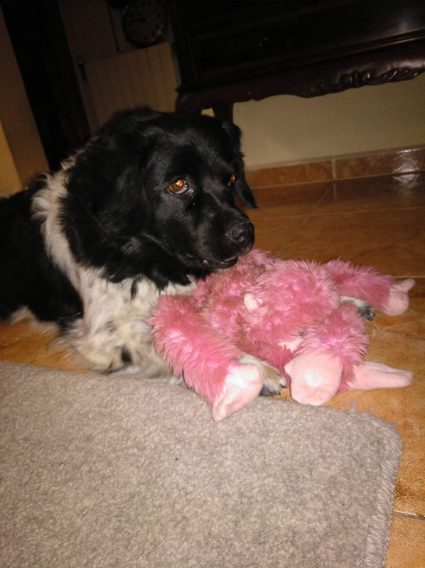 106D3D3C-15B5-4C21-B842-C9DF33024D83