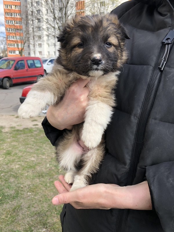 5A89CD7D-DF20-4AE9-B603-C45306072172