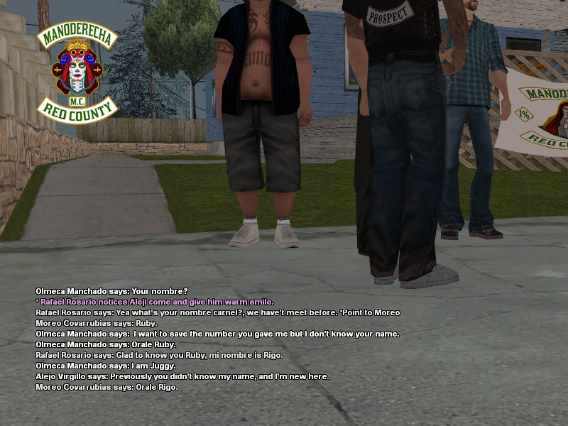 SSRoleplay491.png