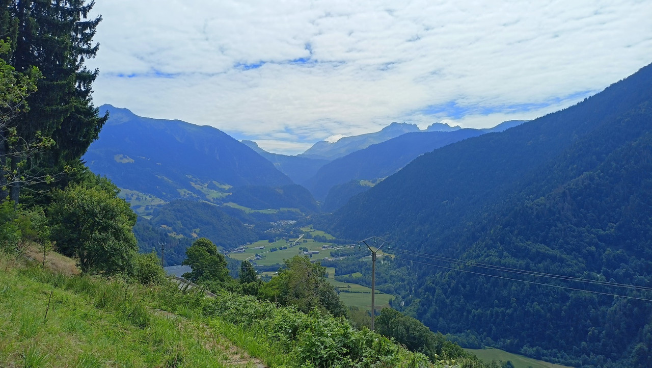 IMG20250716121551 (Large)