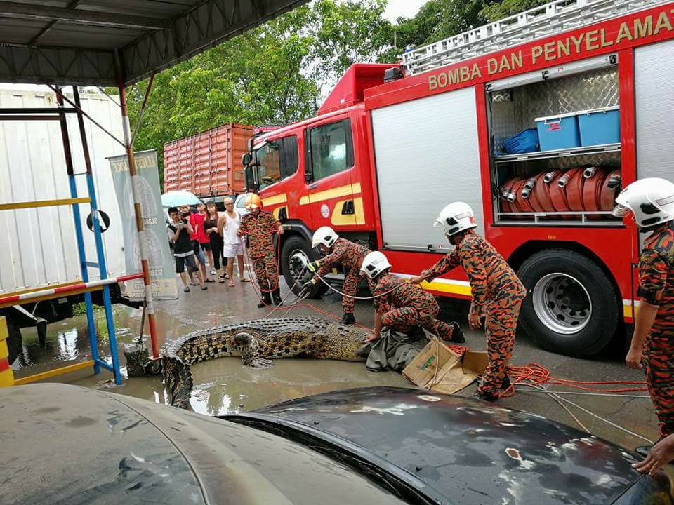 Ini 13 Fakta Anggota Bomba Dan Penyelamat