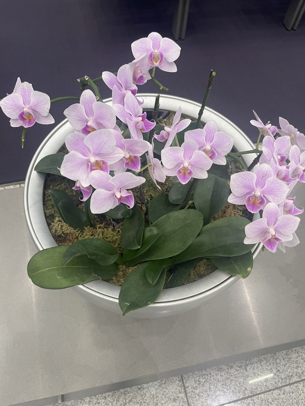 C555157A-71C1-4836-B37B-921539506E45