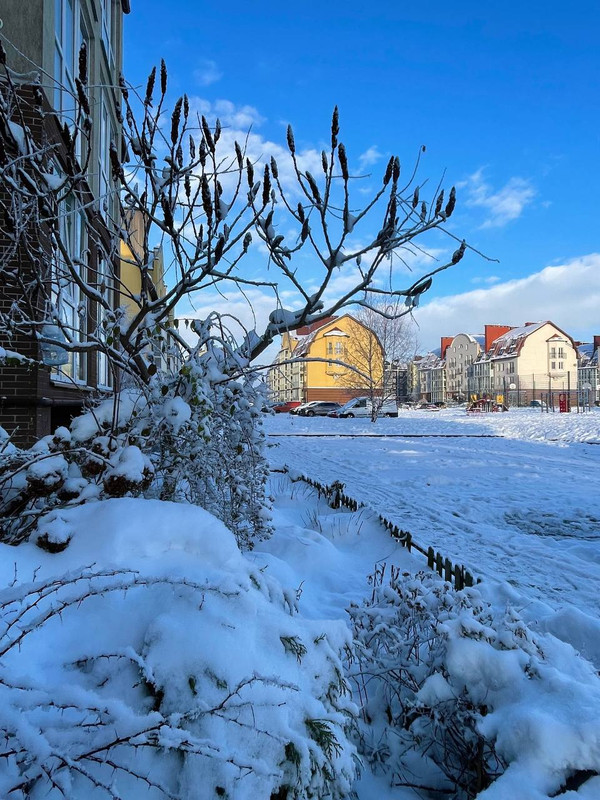 IMG_20231129_125832_273