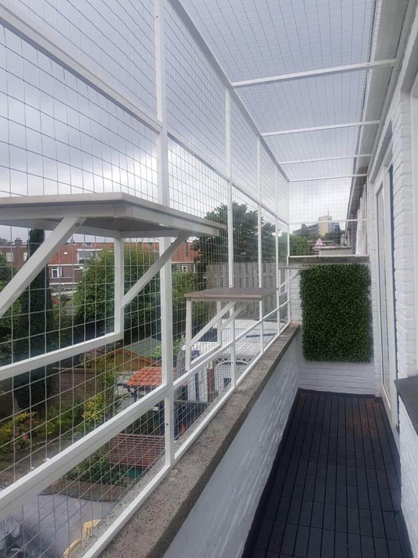 FDECB25C-4BC7-4C00-97E9-12C7FDE82DE4