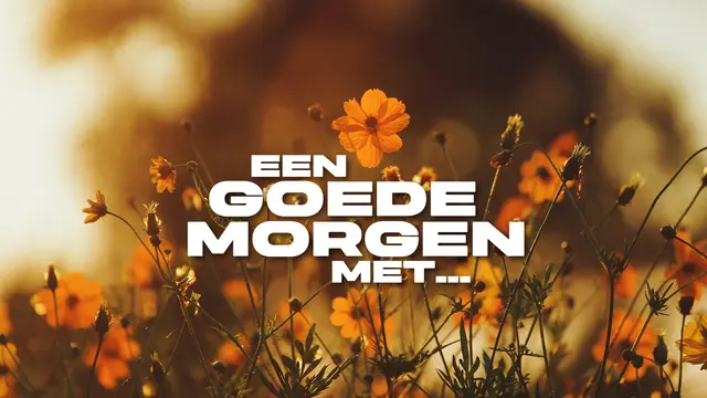 Een-goedemorgen-met.webp