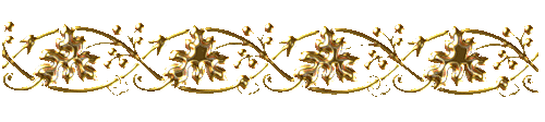 2zp9d6rp19i