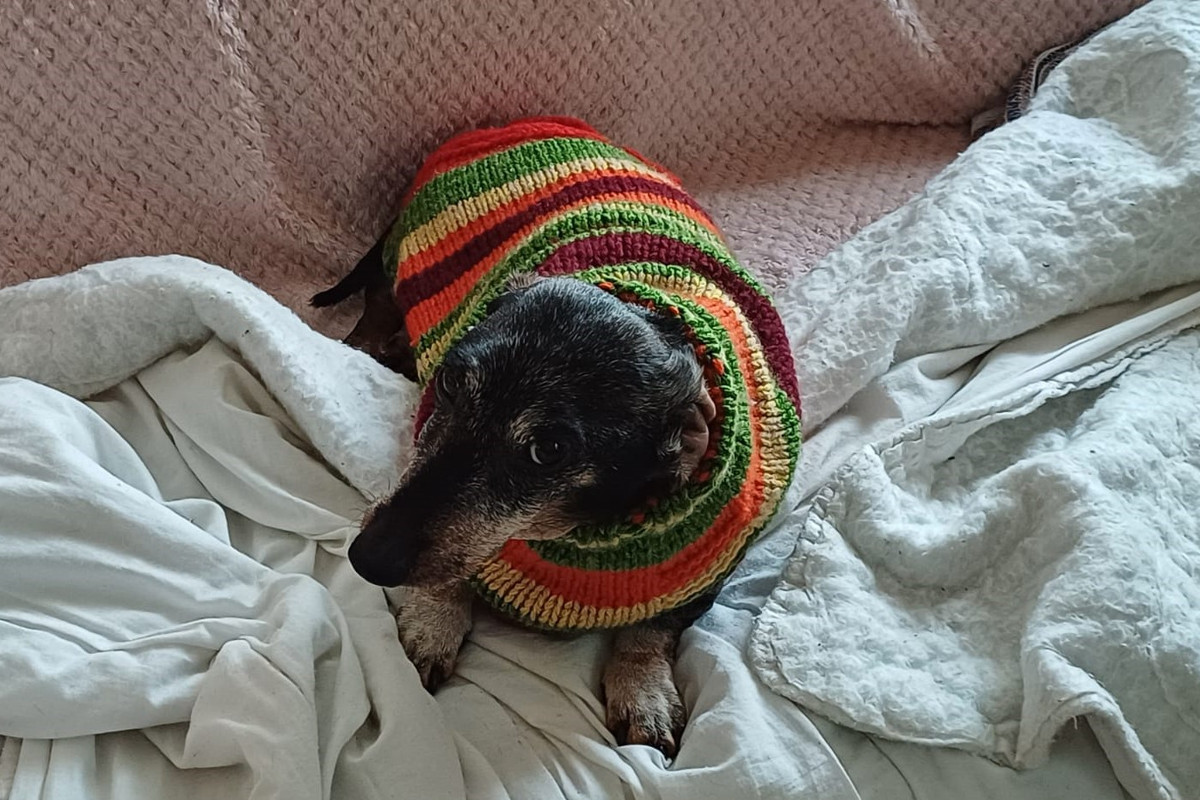 [Image: IMG-20241122-WA0000.jpg]