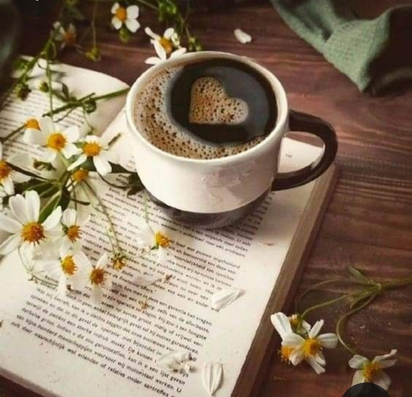 Screenshot_20240424_230046_Pinterest