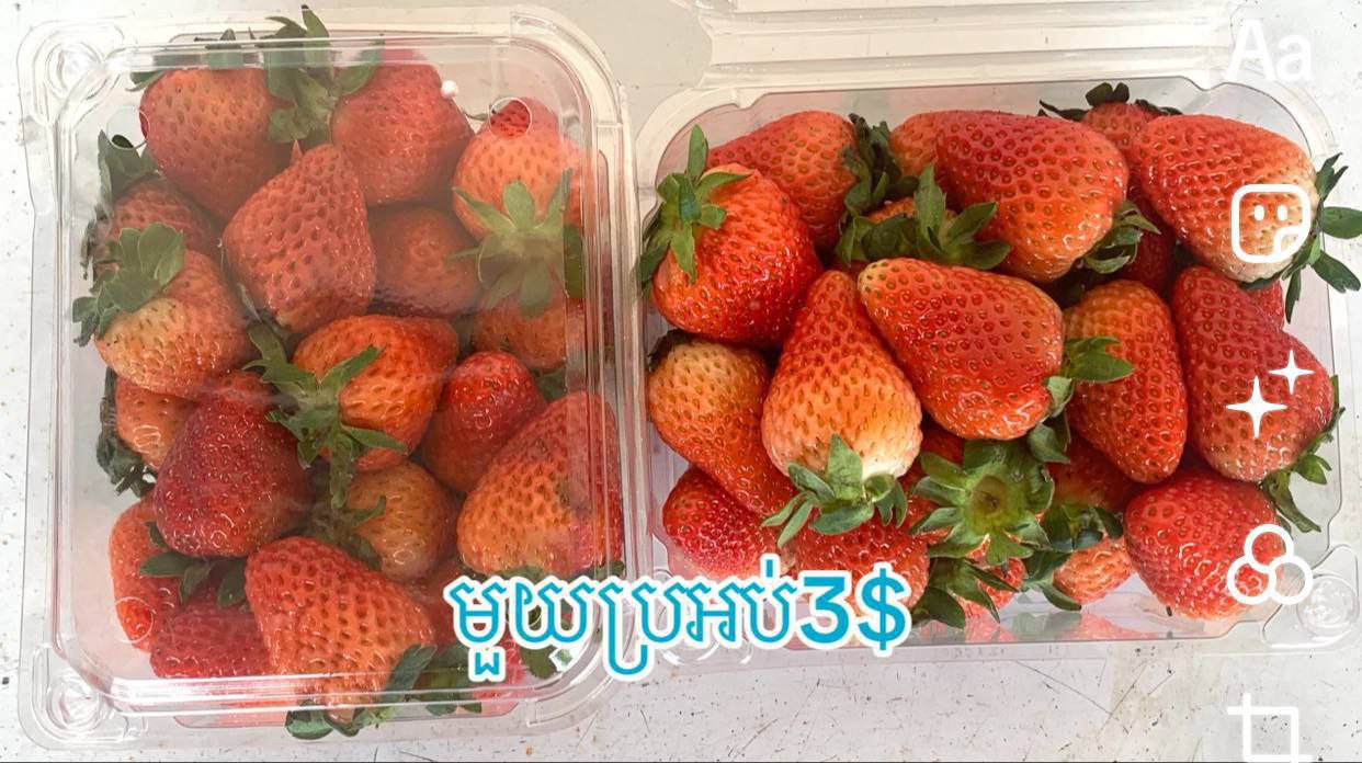 ផ្លែស្រ្តបឺរី