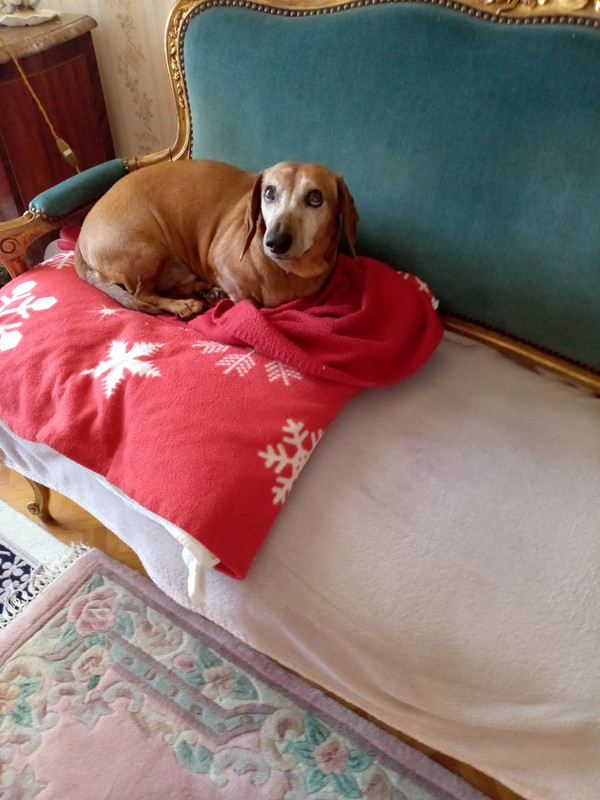 [Image: IMG-20230924-140452.jpg]