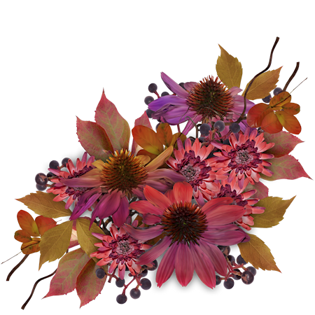 ISmellAutumn-LL-Element69