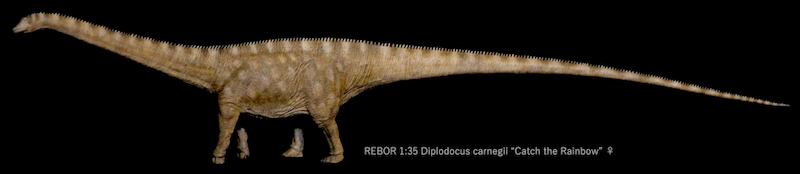 2023 Prehistoric Figure of the Year, time for your choices! - Maximum of 5 Rebor-Diplodocus-cow