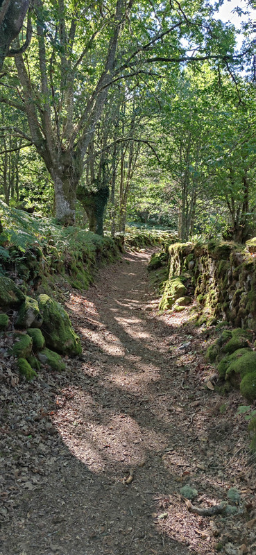 Dia 15. Ribera Sacra: Monasterio Santo Estevo - Miradoiro de Vilouxe ... - Roadtrip de 17 días por Galicia (6)