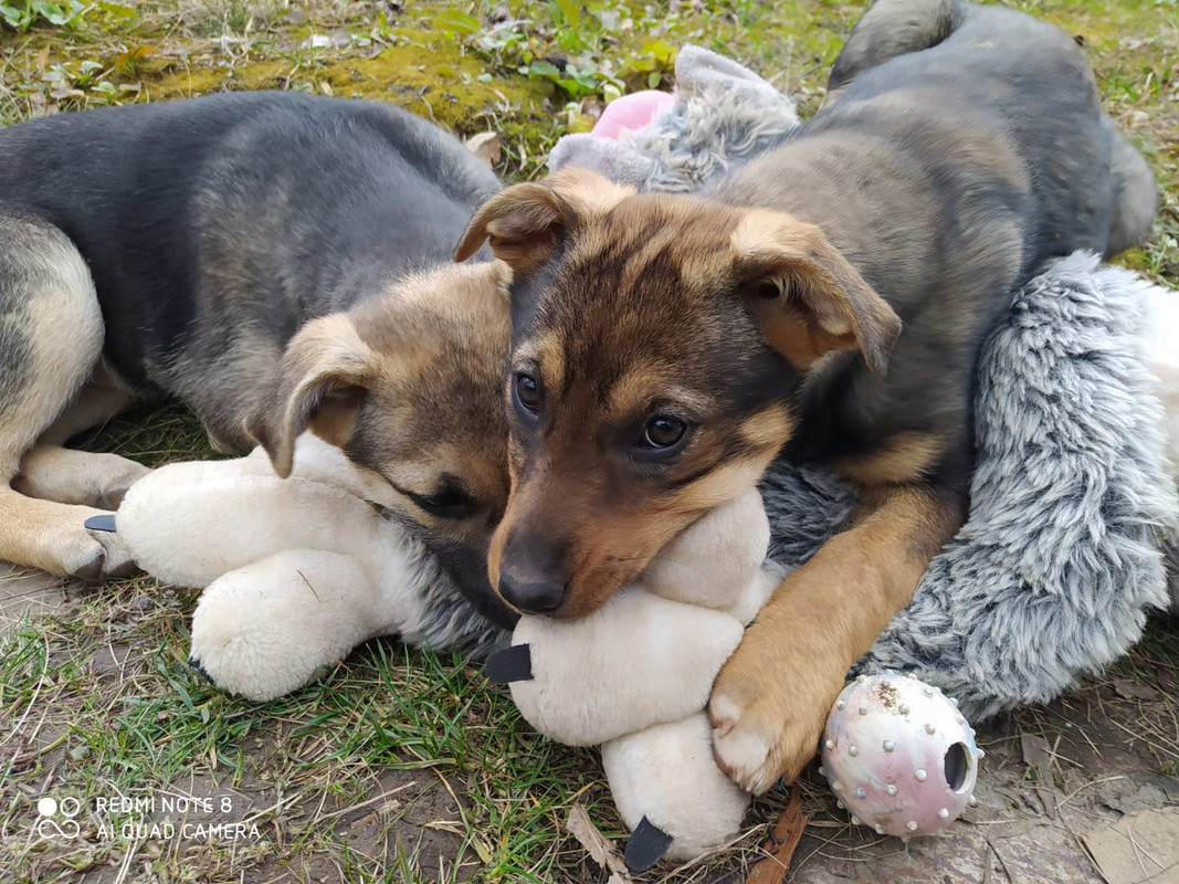 изображение_viber_2020-03-09_18-22-39