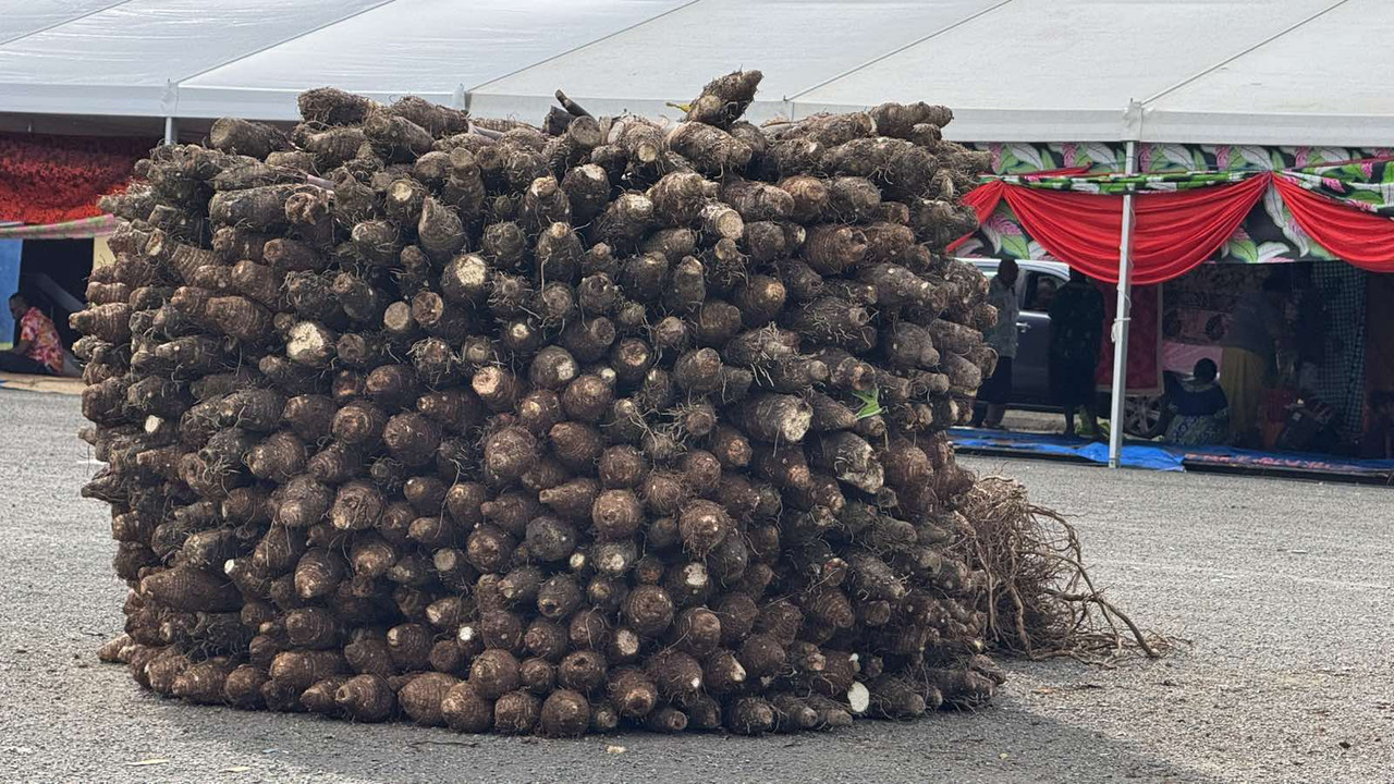 viber-image-2025-07-24-11-37-04-115