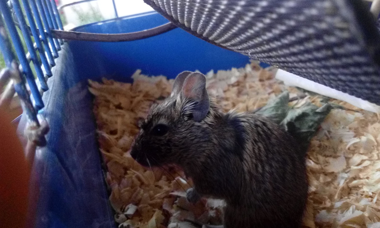 PHOTO_20160712_203412
