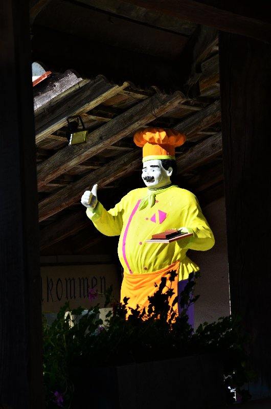 FRIBURGO-4-9-2019 - Suiza y sus pueblos-2019 (62)