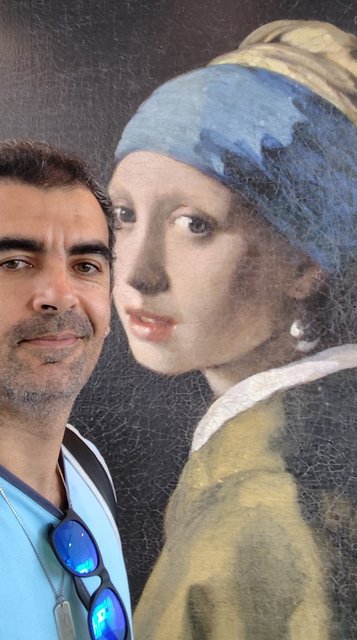 Escapada por Amsterdam - La Haya - Delft - Rotterdam - Leiden - Londres - Blogs de Europa - Museo Mauritshuis, decepcionante Depot Boijmans y callejeo por Delft y Leiden (67)