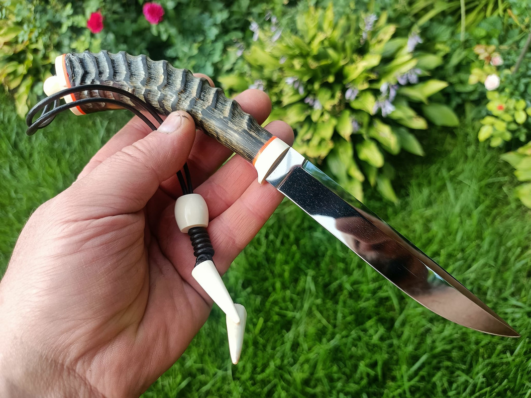 454036658_3573543236228707_1810985313022006157_n