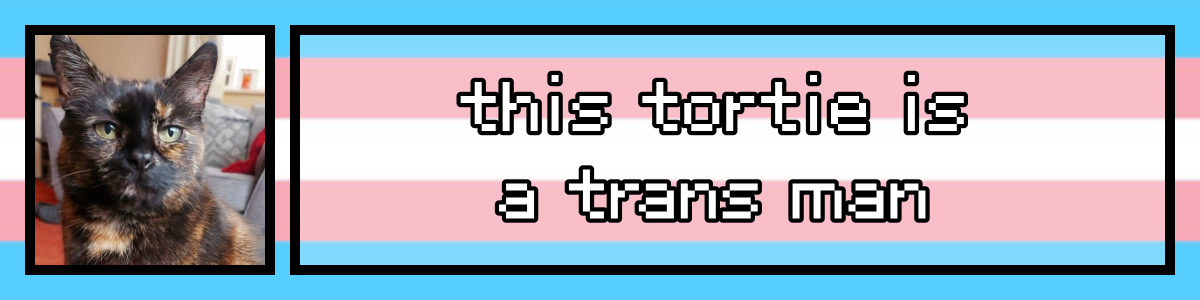 this tortie is a trans man