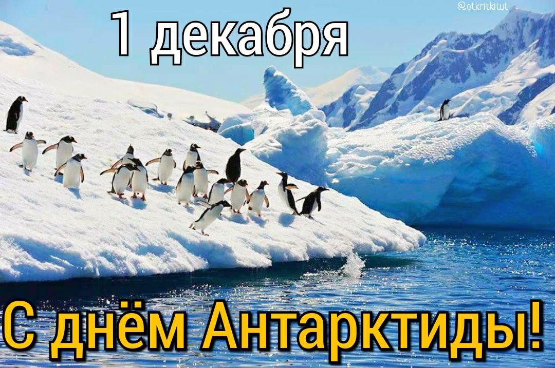 IMG_20231201_122200_531