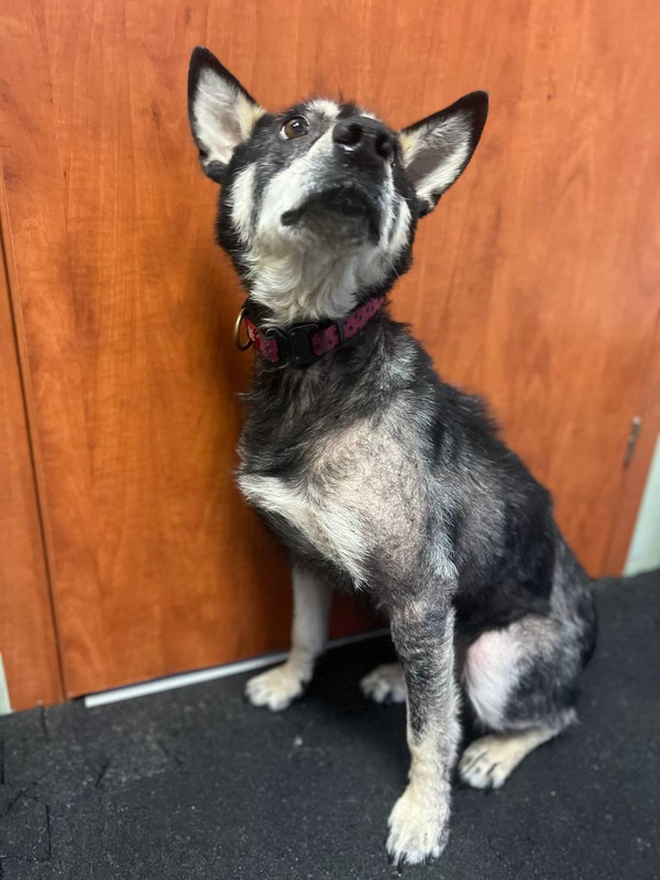 A285F058-7D44-48CB-9041-BD0A761C9F90