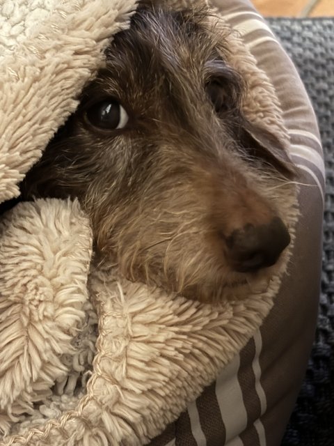 [Image: IMG-8875.jpg]